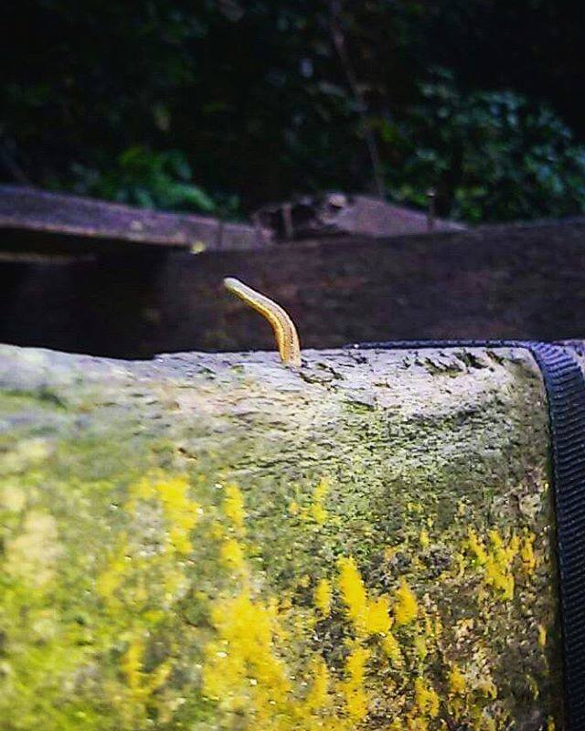 16176841_10207970279631593_1596436817_n