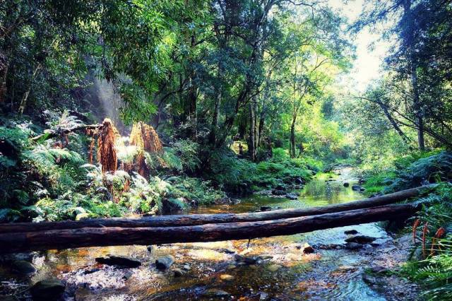 17817947_1017230958376496_2166144829929553920_n(1)