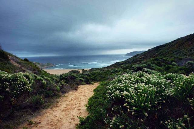 17818219_1863762953838031_7889965080073207808_n(1)