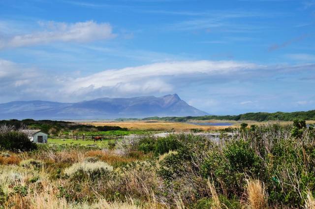 17881207_446535325679969_5395515411053674496_n(1)