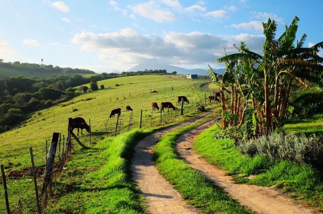 17881434_2080571162169651_7628867485504110592_n(1)