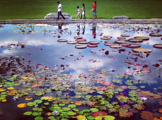 22344941_123296708369986_8207335091341361152_n(1)