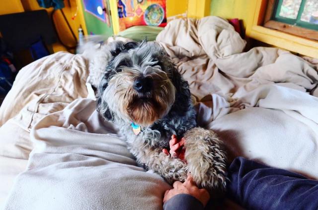 22429916_1716888751663172_3824842585256493056_n(1)