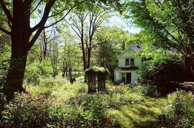 22637703_902760109899708_917885621266022400_n(1)