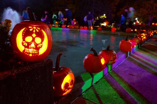 22801933_878013872356792_5564152921064472576_n(1)