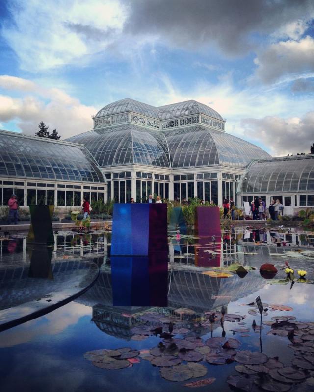 23161288_1656800714435021_1078294420614283264_n(1)